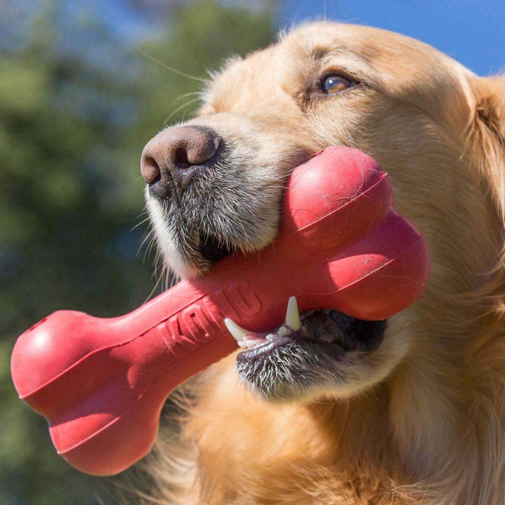 kong Goodie Bone™ 