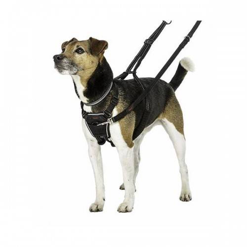 Halti - Harnais non pull anti traction 