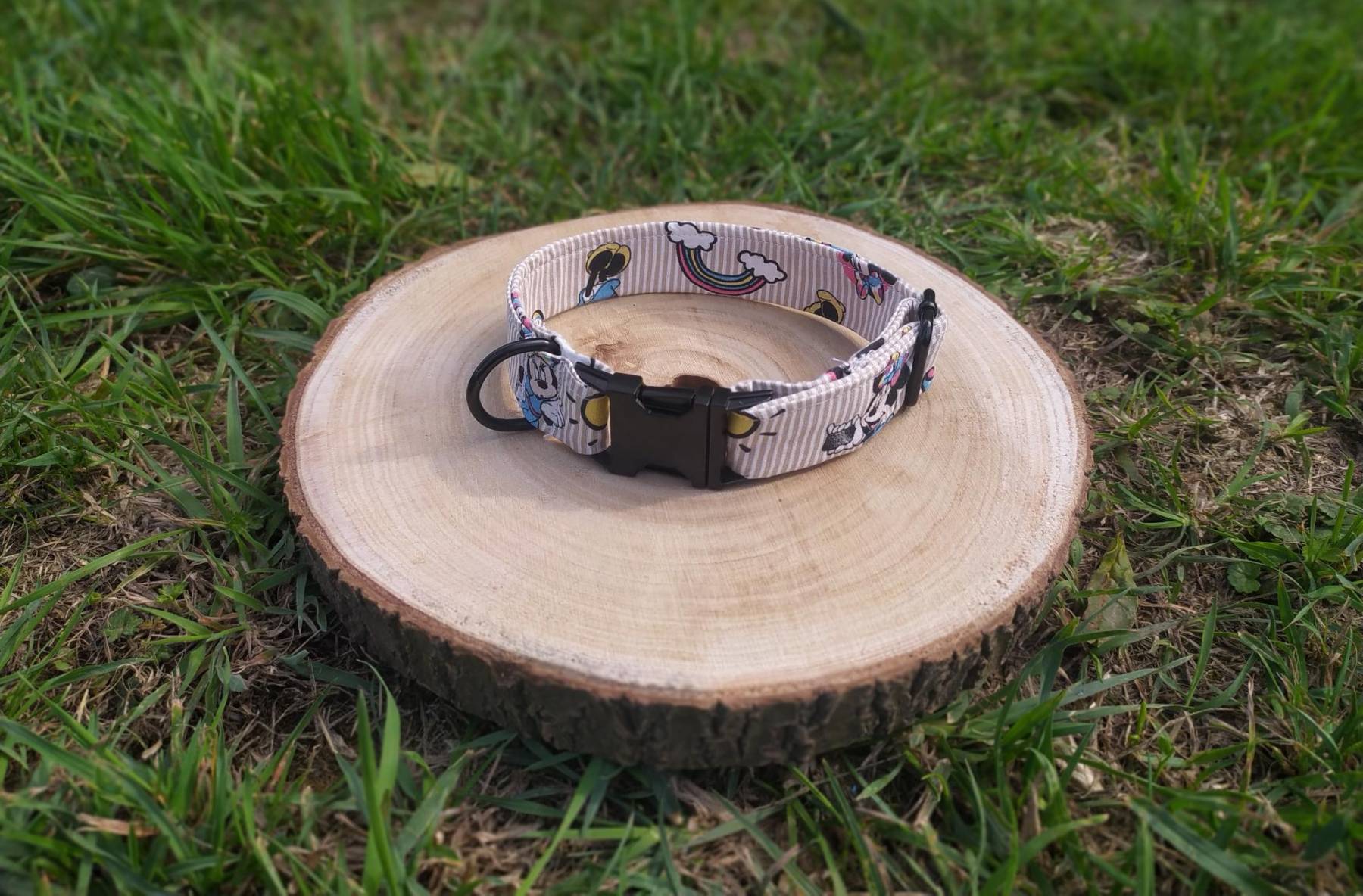 Collier, laisse de fabrication artisanal collection dessin animé
