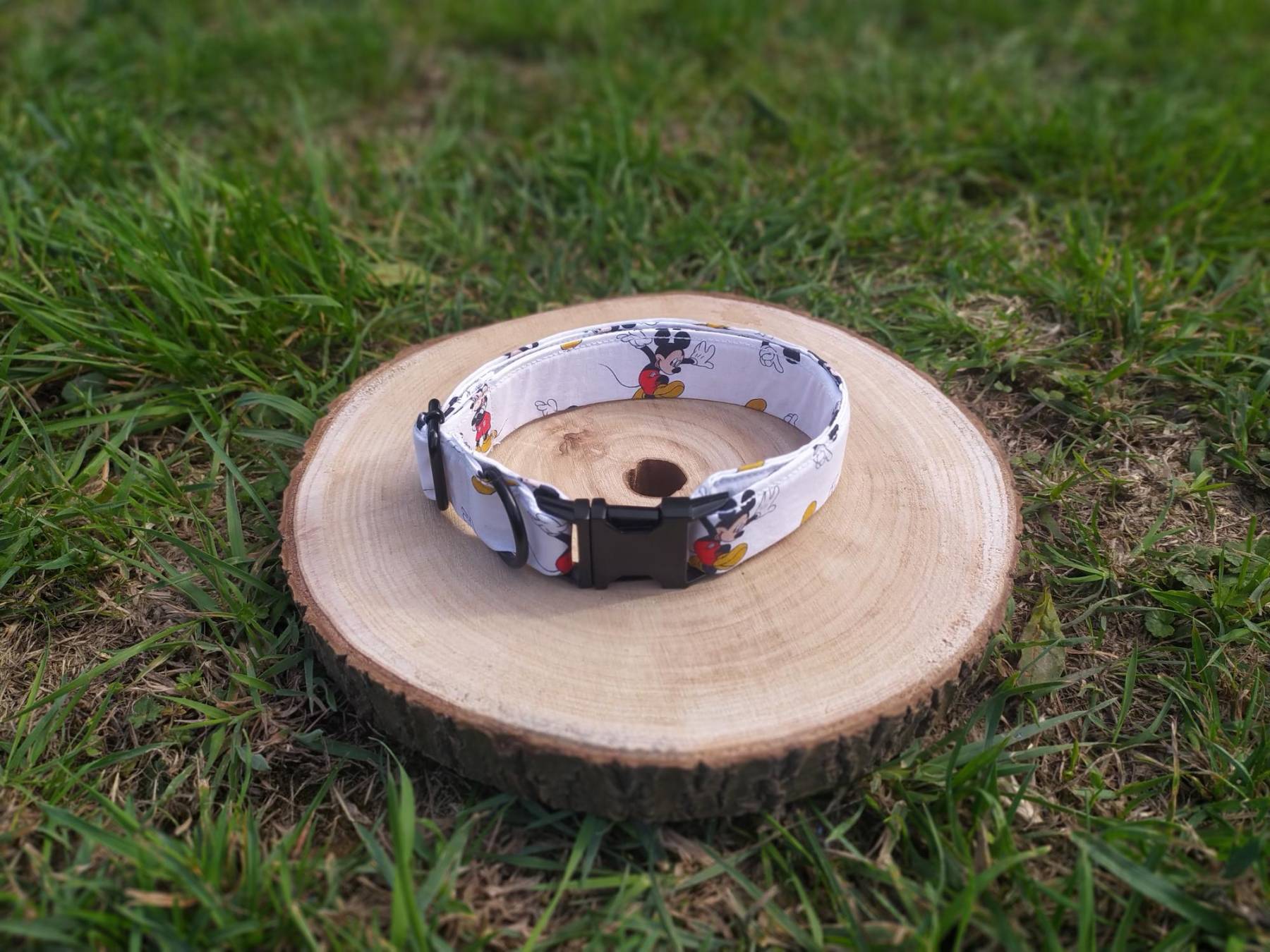 Collier, laisse de fabrication artisanal collection dessin animé