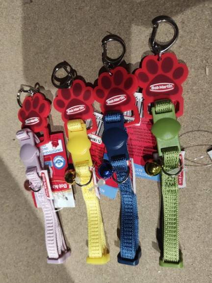 Collier chat ou petit chien en nylon 