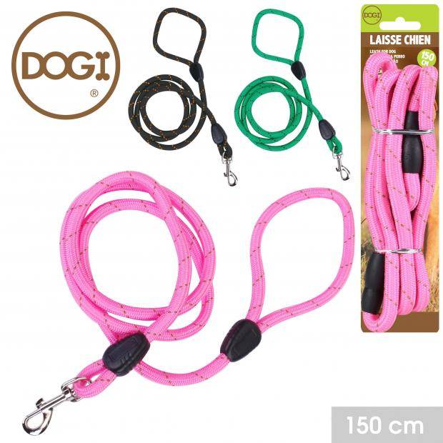 Laisse pour chien