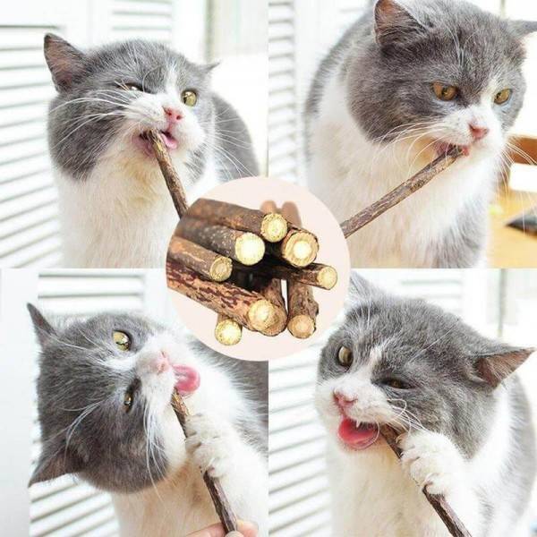 Bâtonnets de Matatabi pour chat