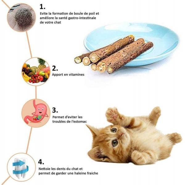 Bâtonnets de Matatabi pour chat