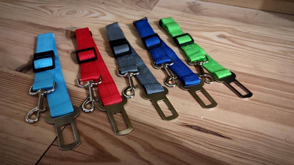 Laisse de sécurité voiture chien et chat 