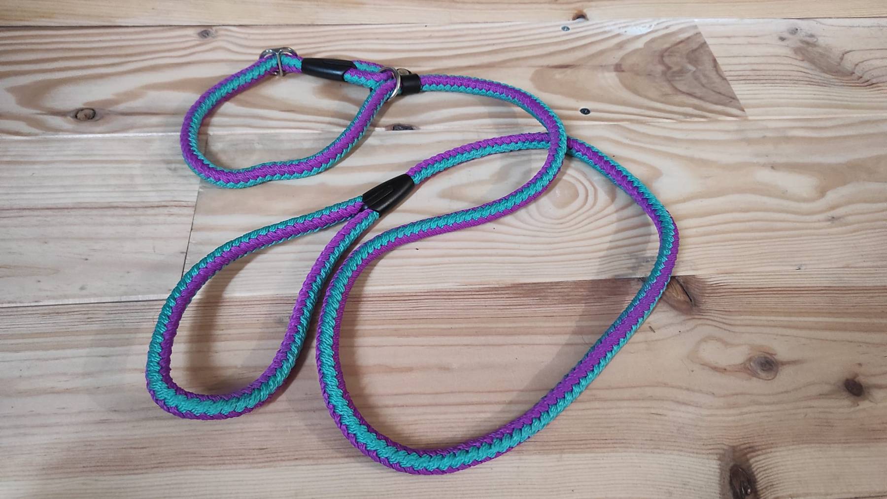 laisse lasso pour chien violet et turquoise